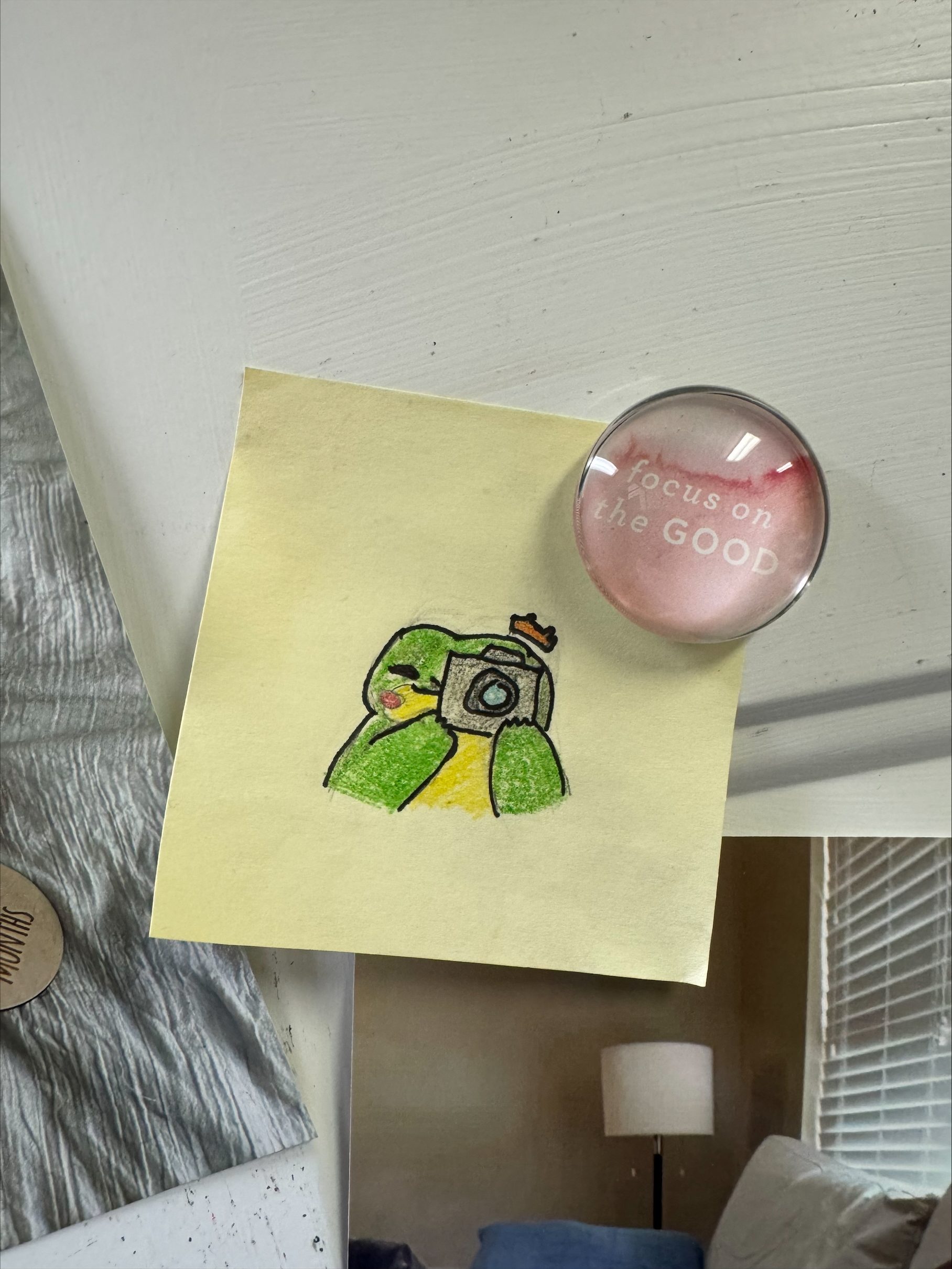 a doodle on a sticky note of a frog holding a camera